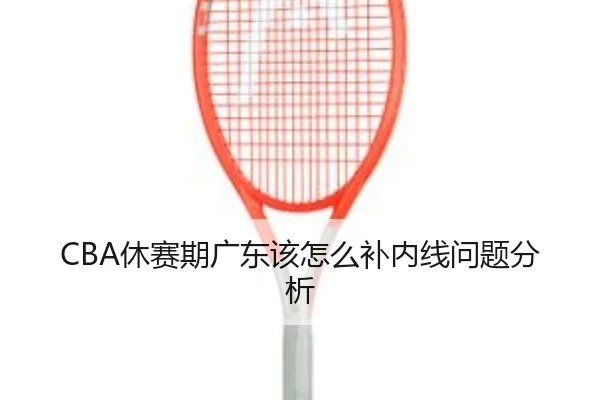 CBA休赛期广东该怎么补内线问题分析